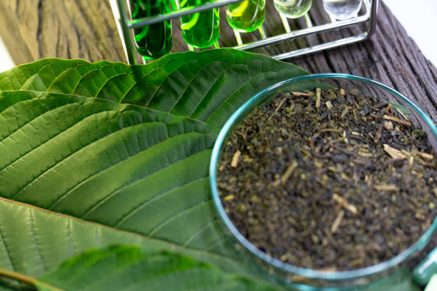 Understanding the Steps in Kratom Manufacturing