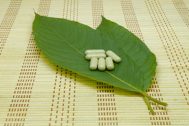 Discover the Best Kratom for Pain Options Available